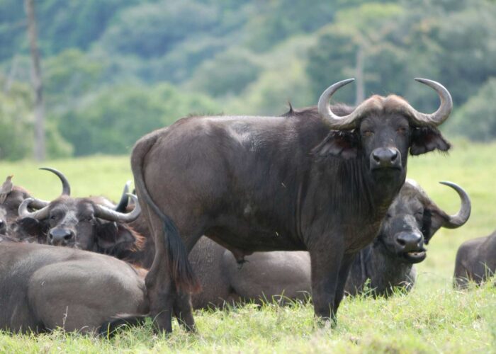 arusha national park