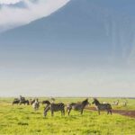 11ngorongoro conservation area