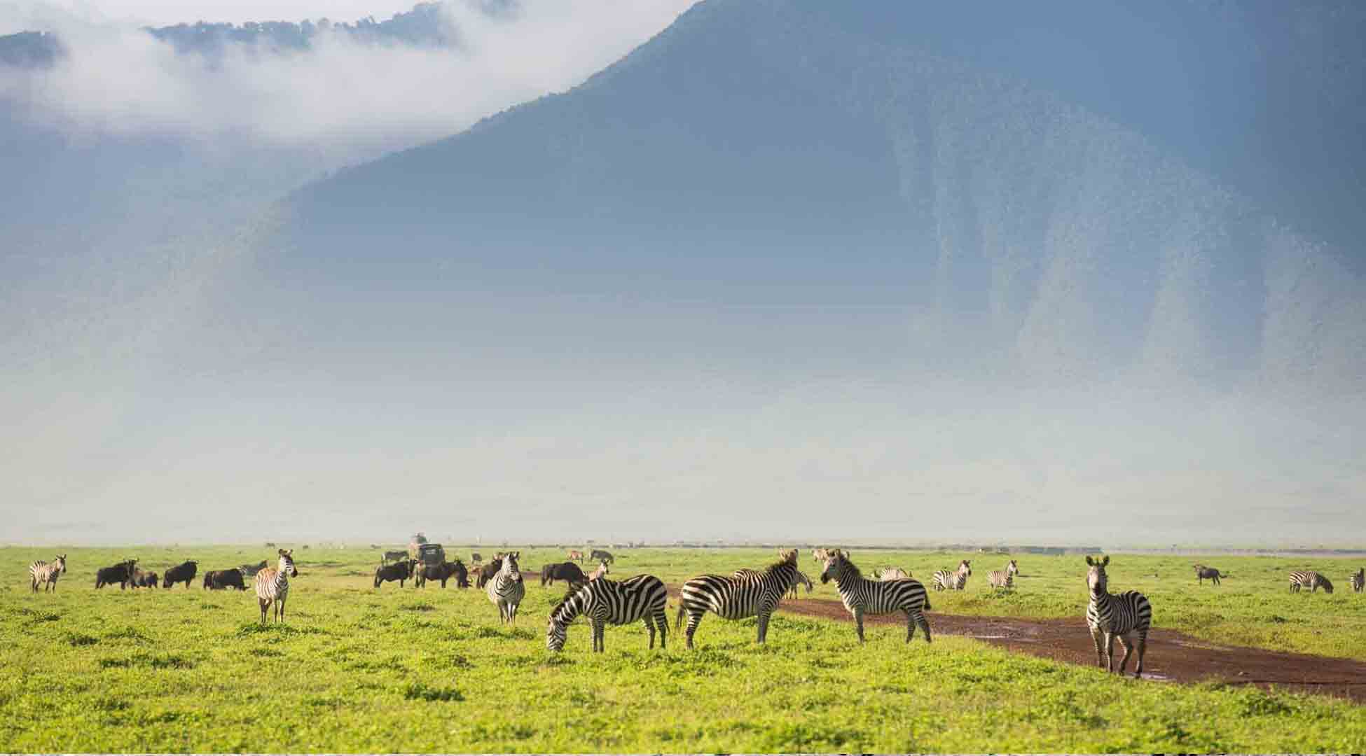 ngorongoro conservation area